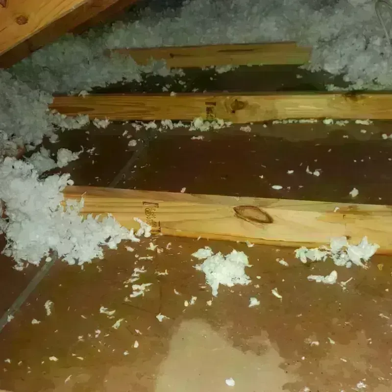 Attic Water Damage in Wilson, WY