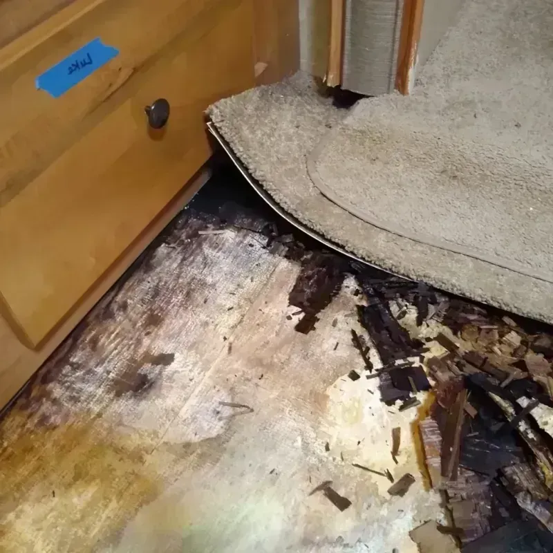 Wood Floor Water Damage in Wilson, WY